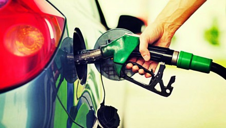 Gasolina