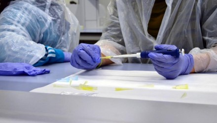Prueban con éxito en ratones un fármaco contra el cáncer de mama HER2 1