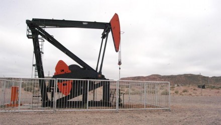 09 07 02 guanaco petrolero