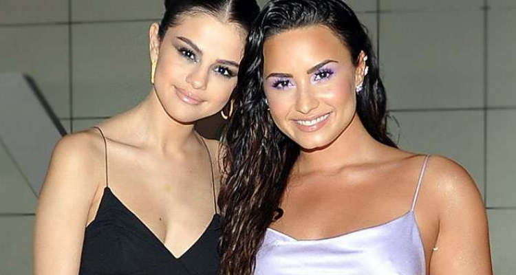 La cantante Demi Lovato eliminó a Selena Gómez de sus redes sociales 1 Captura de pantalla 2018 11 24 a las 11.33.13
