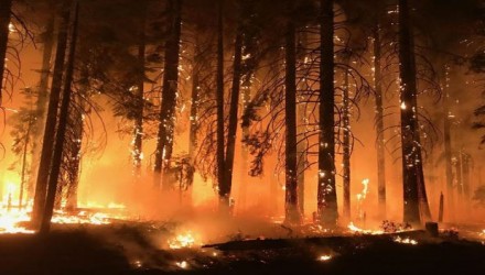 INCENDIO CALIFORNIA 1 700x352