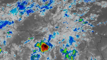 Onda tropical Nro 61 1000x670