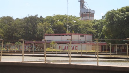 Planta
