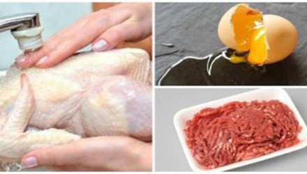 alimentos