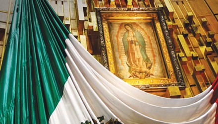 portada guadalupe1