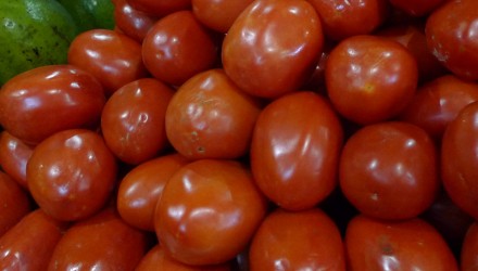 tomate 2
