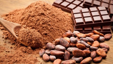 cacao 1 800x445