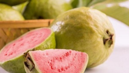 guava pulp 1485943124 1167551 crop1553200017680.jpeg 2102391412