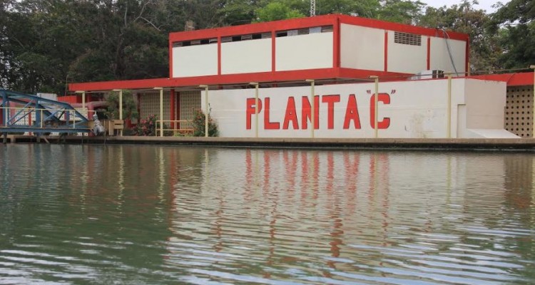 plantac1