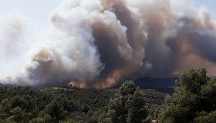 incendio 270619