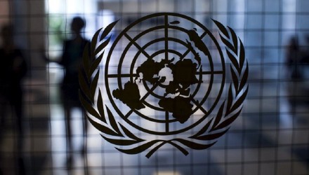 ONU VENEZUELAA 1132x670