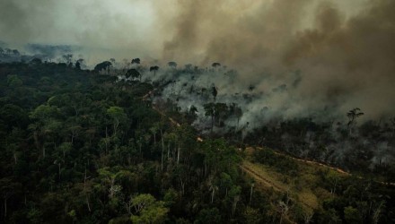 Amazoníafuego1 1100x618