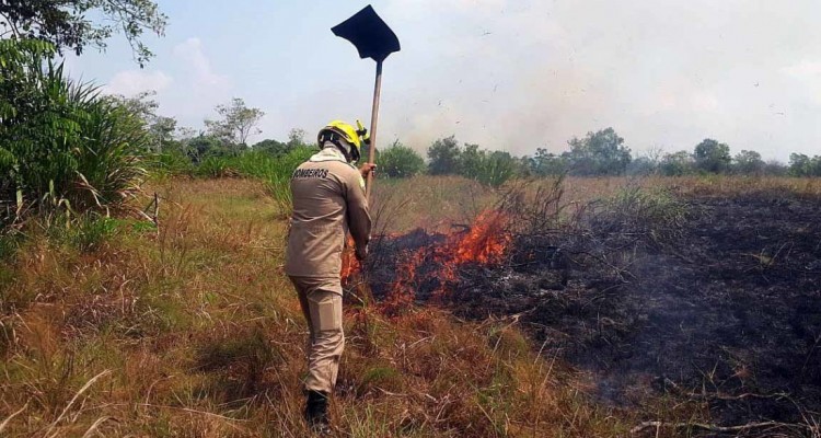 Identificaron a tres sospechosos de causar los incendios en la Amazonia 1 Amazoníafuego2 1100x618