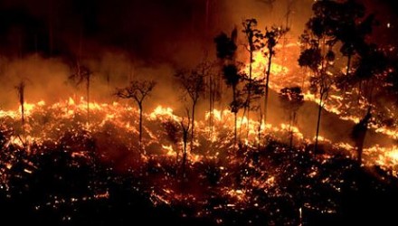 Capturappppp 3
