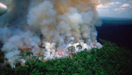 amazonia pulmon