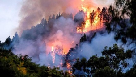 incendio amazonas1566507027
