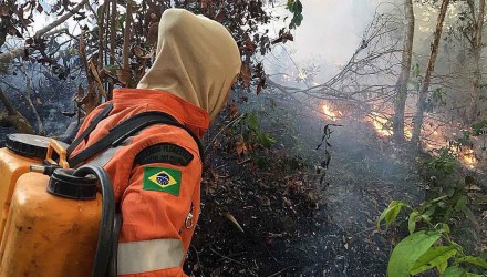 incendiosamazonia1