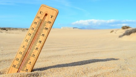 Cambio climático