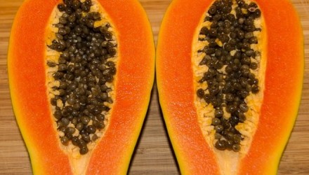 papaya 1572190 340