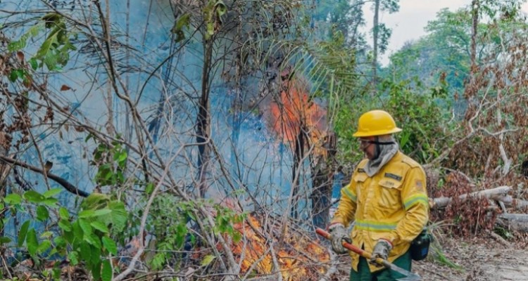 brasil lanza una campana para mejorar su imagen tras los incendios en la amazonia