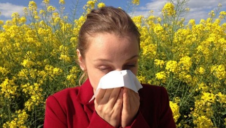 plantas que causan alergia banner