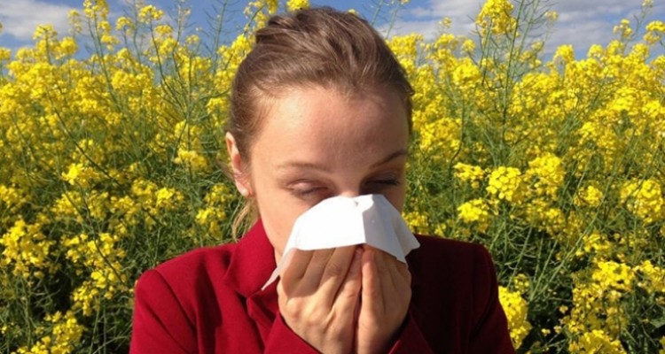 plantas que causan alergia banner