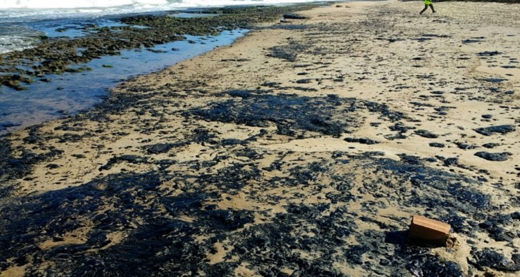 derrame de petroleo en la playa pontal de coruripe 35035