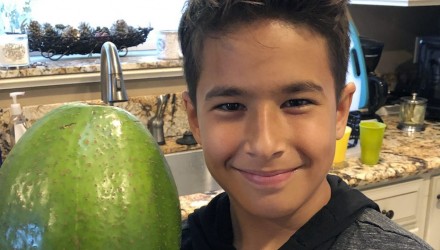 el aguacate mas pesado 1100x570