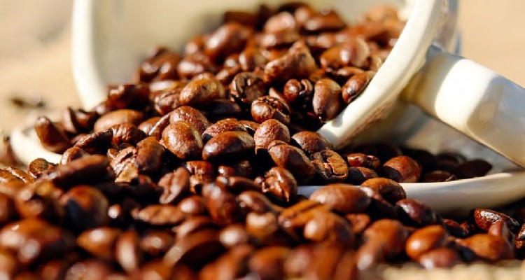 Producción de café disminuirá 80% con respecto al 2018 1 Café 1 850x400