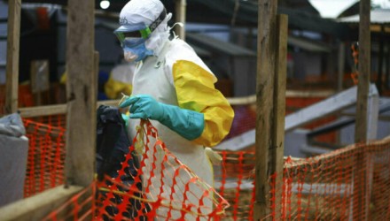 congo 1