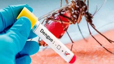 dengue