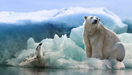 hielo 1