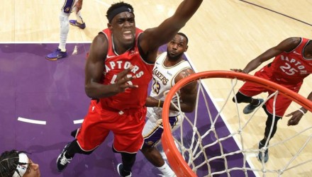 raptors