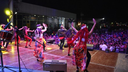 DSC 0011 1