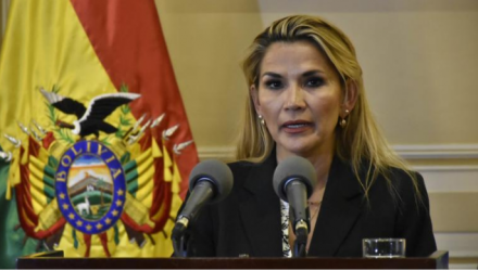 presidenta estandar