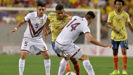 vinotinto