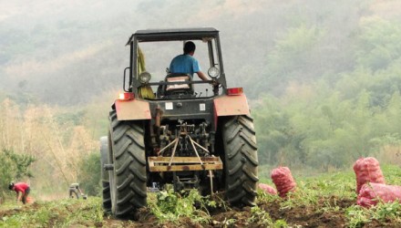 agro 850x400