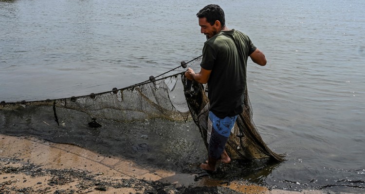 pesca venezuela