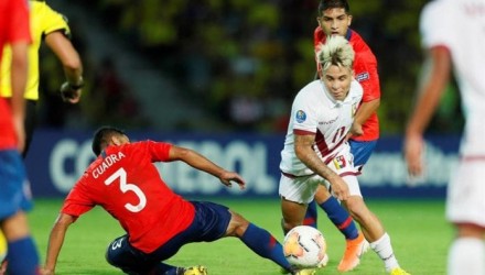 vinotinto 1
