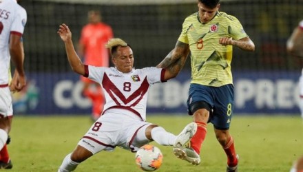 vinotinto 2