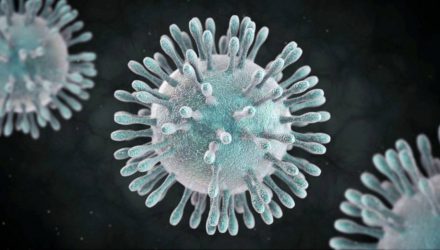 vacuna oronavirus