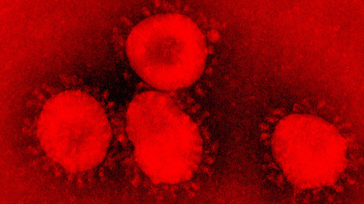 coronavirus rojo 1