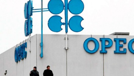 opep 1