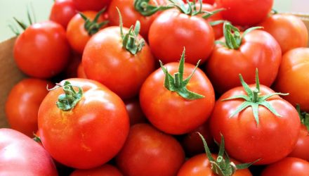 tomate