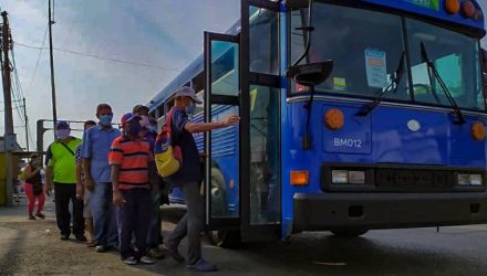 Bus Maracaibo