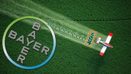 bayer