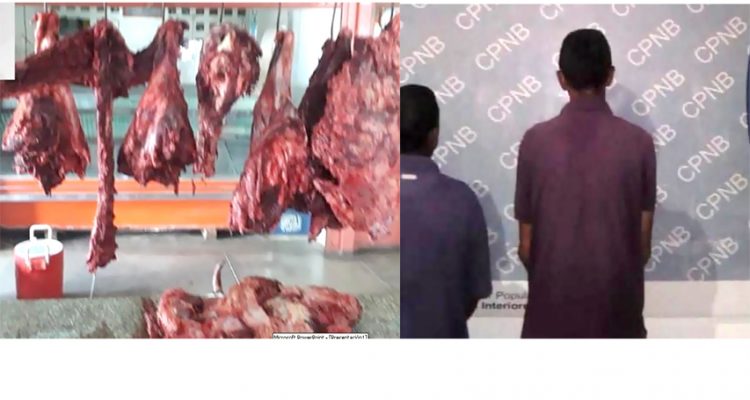 Detienen a cuatreros y recuperan 200 kilos de carne en Santa Bárbara 1 detienen