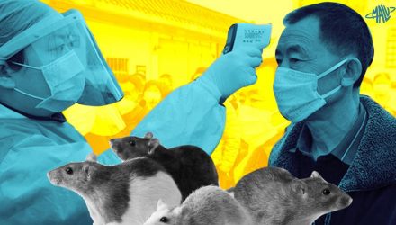 hantavirus