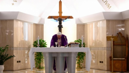 papa 0