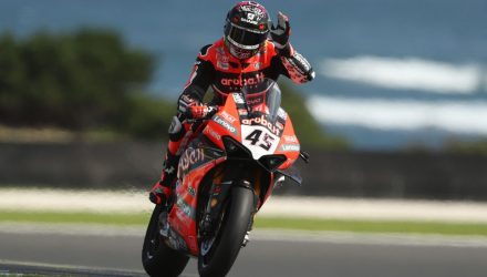 scott redding